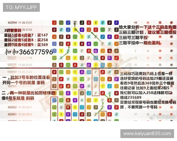 飞艇计划网：飞艇安全保障体系的构建与风险控制措施